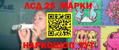 сатива Тверь