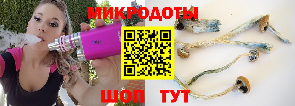 Галлюциногенные грибы Psilocybine cubensis  Вход с VPN  Нижнеудинск  Псилоцибиновые грибы MAGIC MUSHROOMS 
